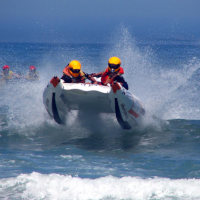Köra Speedcat